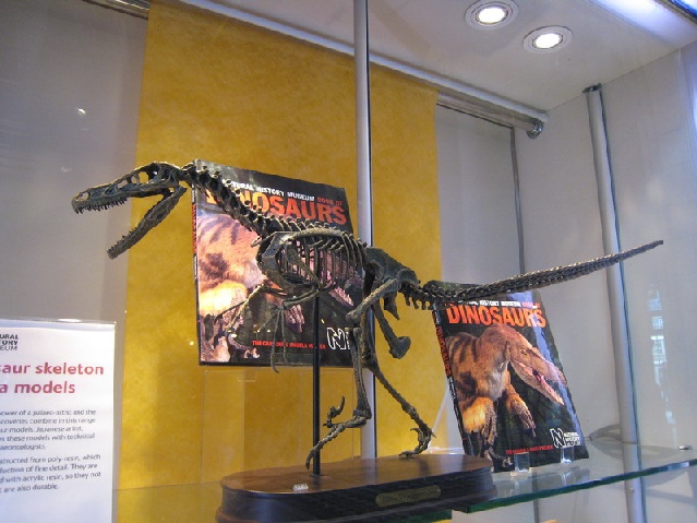 velociraptor museum